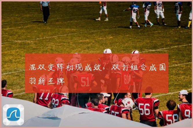 混双变阵初现成效，双打组合成国羽新王牌 - 球天下体育推荐