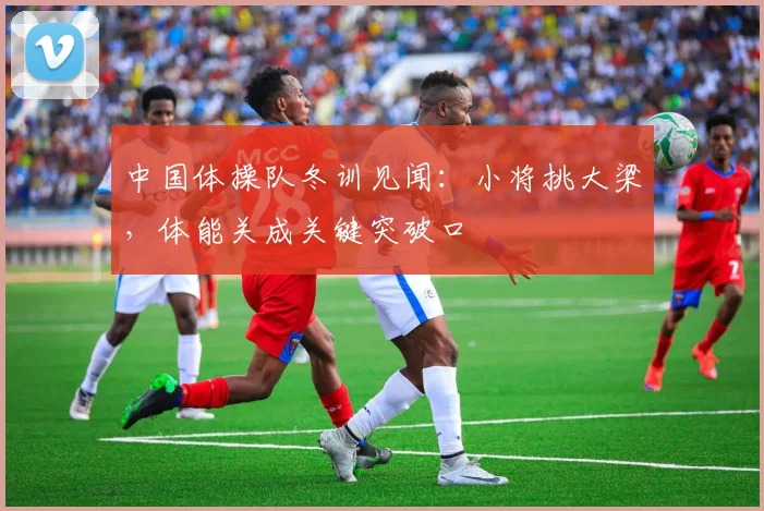 中国体操队冬训见闻：小将挑大梁，体能关成关键突破口 - 球天下体育推荐