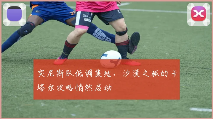 突尼斯队低调集结,沙漠之狐的卡塔尔攻略悄然启动 - 球天下体育推荐