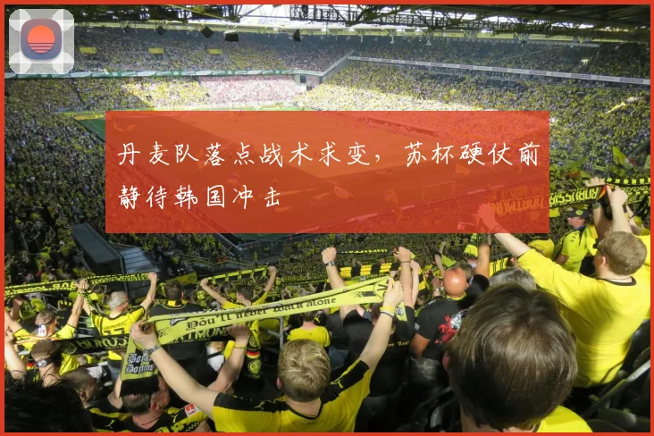 丹麦队落点战术求变，苏杯硬仗前静待韩国冲击 - 球天下体育推荐
