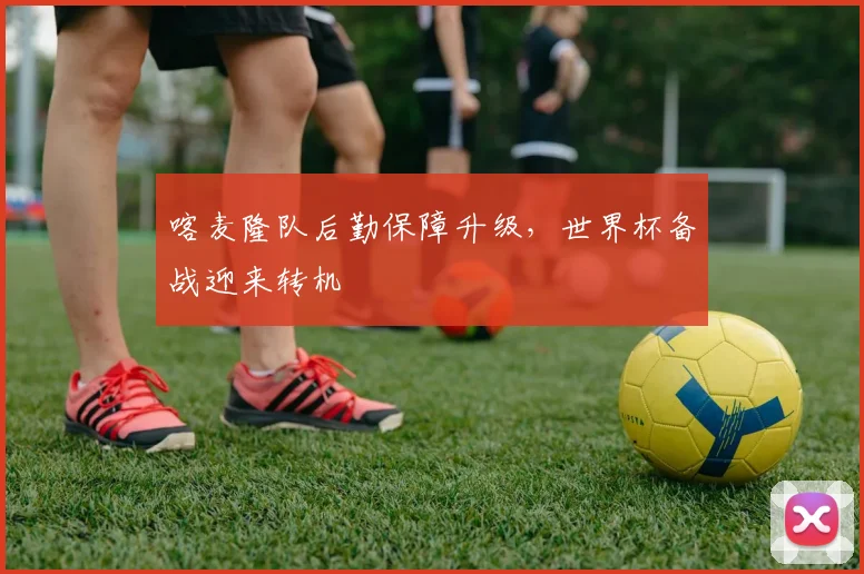 喀麦隆队后勤保障升级,世界杯备战迎来转机 - 球天下体育推荐