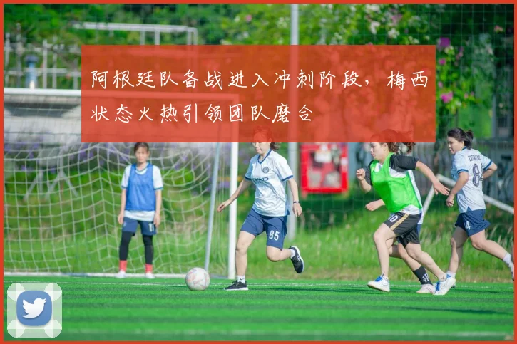 阿根廷队备战进入冲刺阶段，梅西状态火热引领团队磨合 - 球天下体育推荐