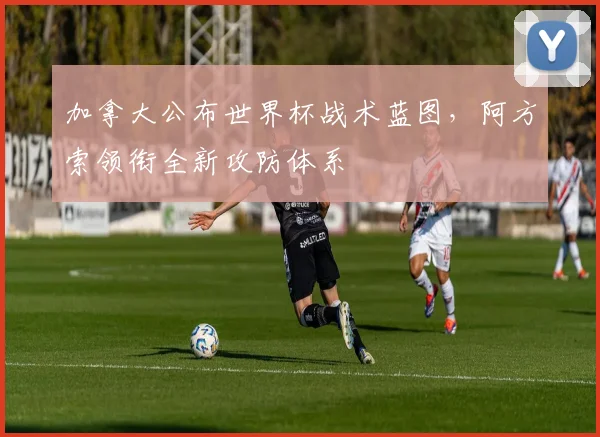 加拿大公布世界杯战术蓝图，阿方索领衔全新攻防体系 - 球天下体育图集